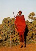 masaje obchody/images/thumbnails/thumbnail12.jpg